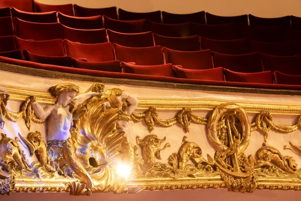 Ntr header about