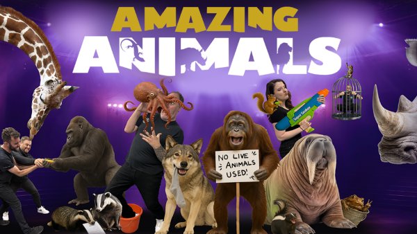 02 16 Amazing Animals Web 1920 x